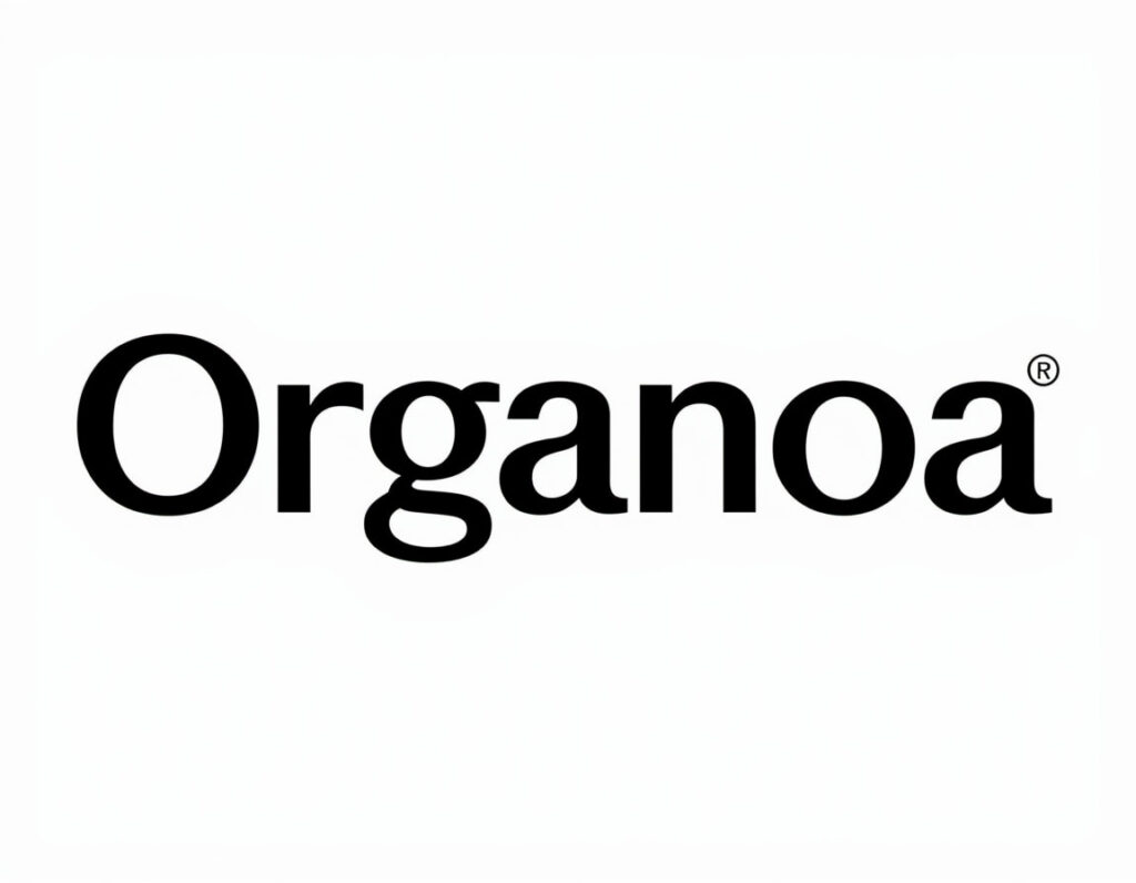 Outsource accounting services
